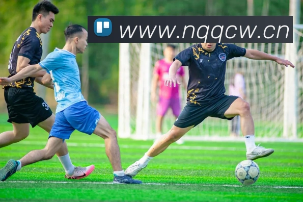 巅峰国际app官方下载渠道平台生态图